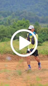 BIB:  <button type="button" onclick="openModal(26804613)" class="btn btn-primary btn-sm float-right" data-toggle="modal" data-target=".modal-high-quality">
                <i class="fa fa-download"></i> Download
                </button>